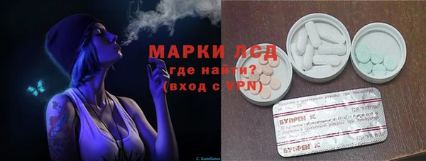 мяу мяу мука Белокуриха