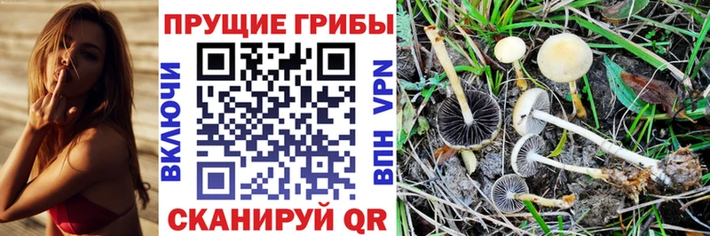 Галлюциногенные грибы GOLDEN TEACHER Вяземский